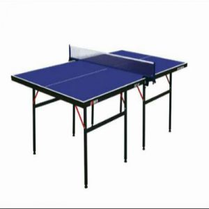 indoor-tennis-table